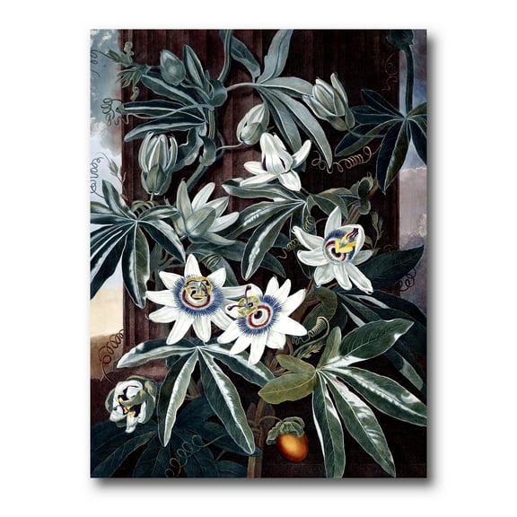 Designart ' Ancient Flowers I ' Traditional Canvas Wall Art Print