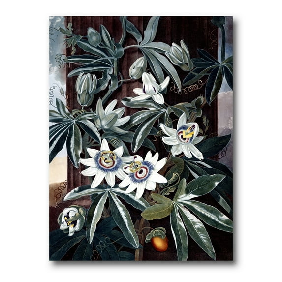 Designart ' Ancient Flowers I ' Traditional Canvas Wall Art Print