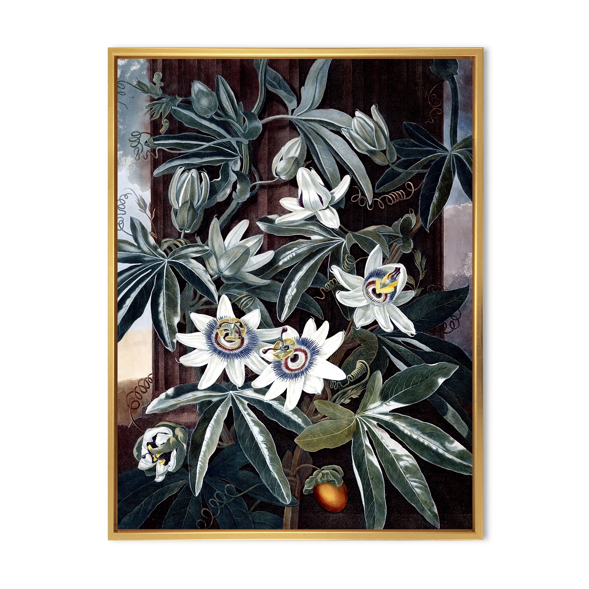 Designart 'Ancient Flowers I' Traditional Framed Canvas Wall Art Print