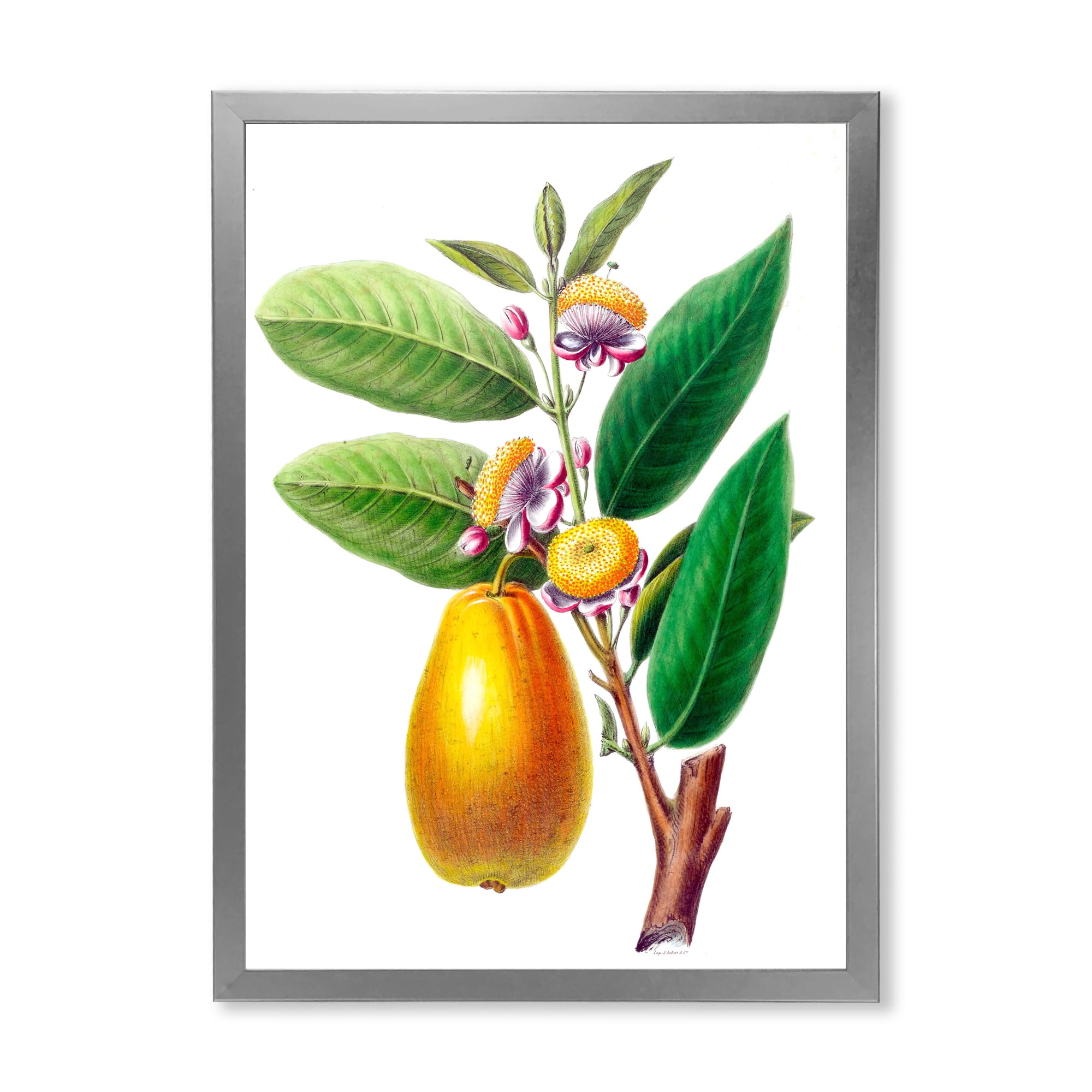 Designart 'Ancient Fruits I' Farmhouse Framed Art Print