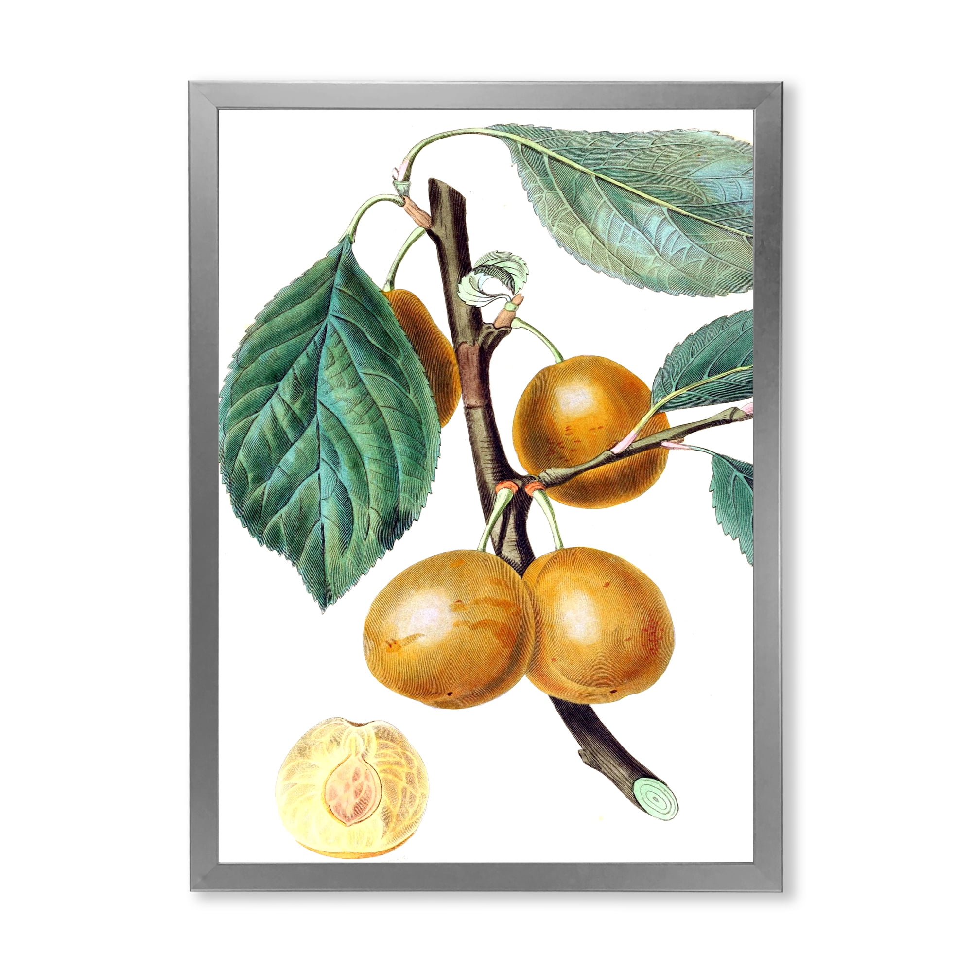 Designart 'Ancient Fruits II' Farmhouse Framed Art Print