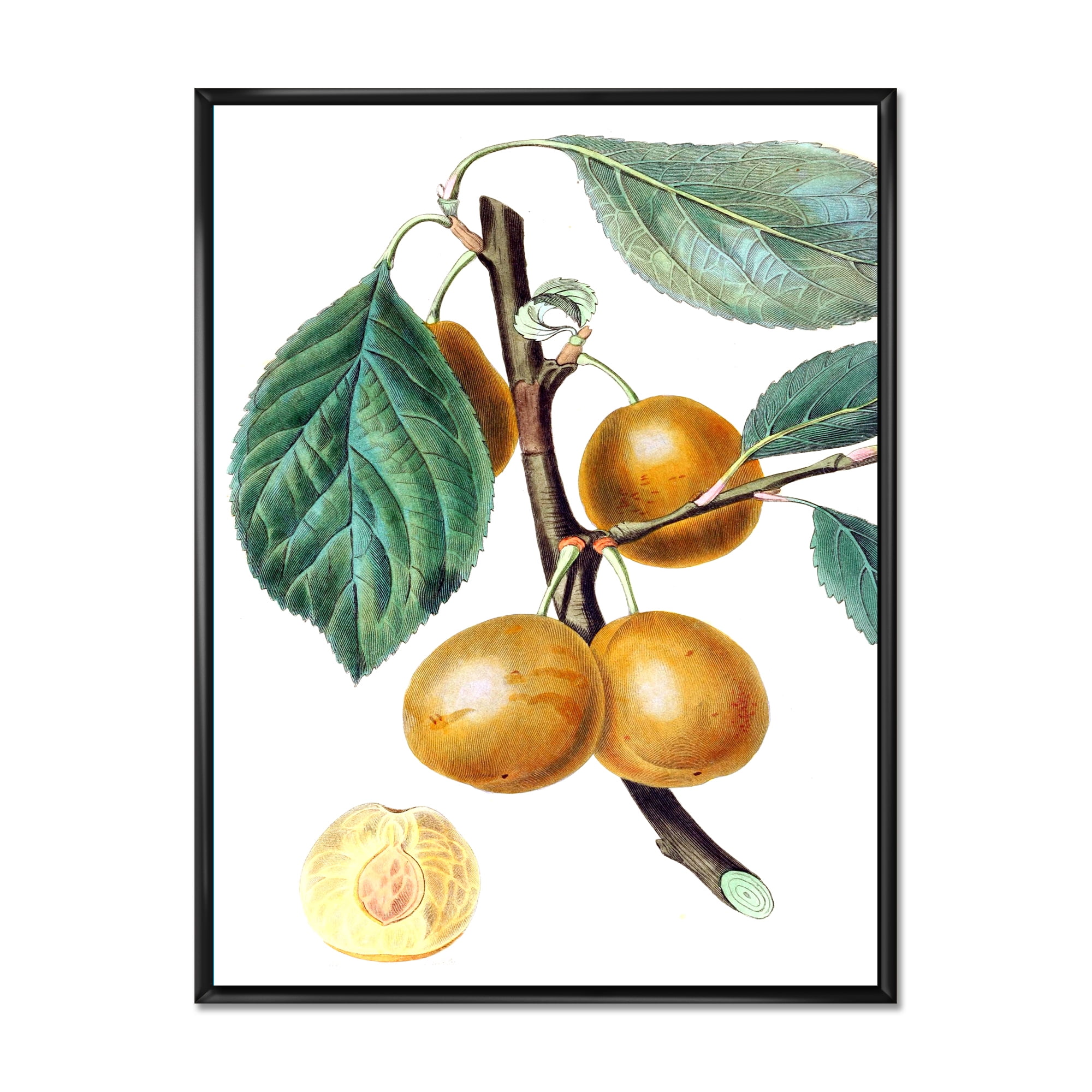 Designart 'Ancient Fruits II' Farmhouse Framed Canvas Wall Art Print