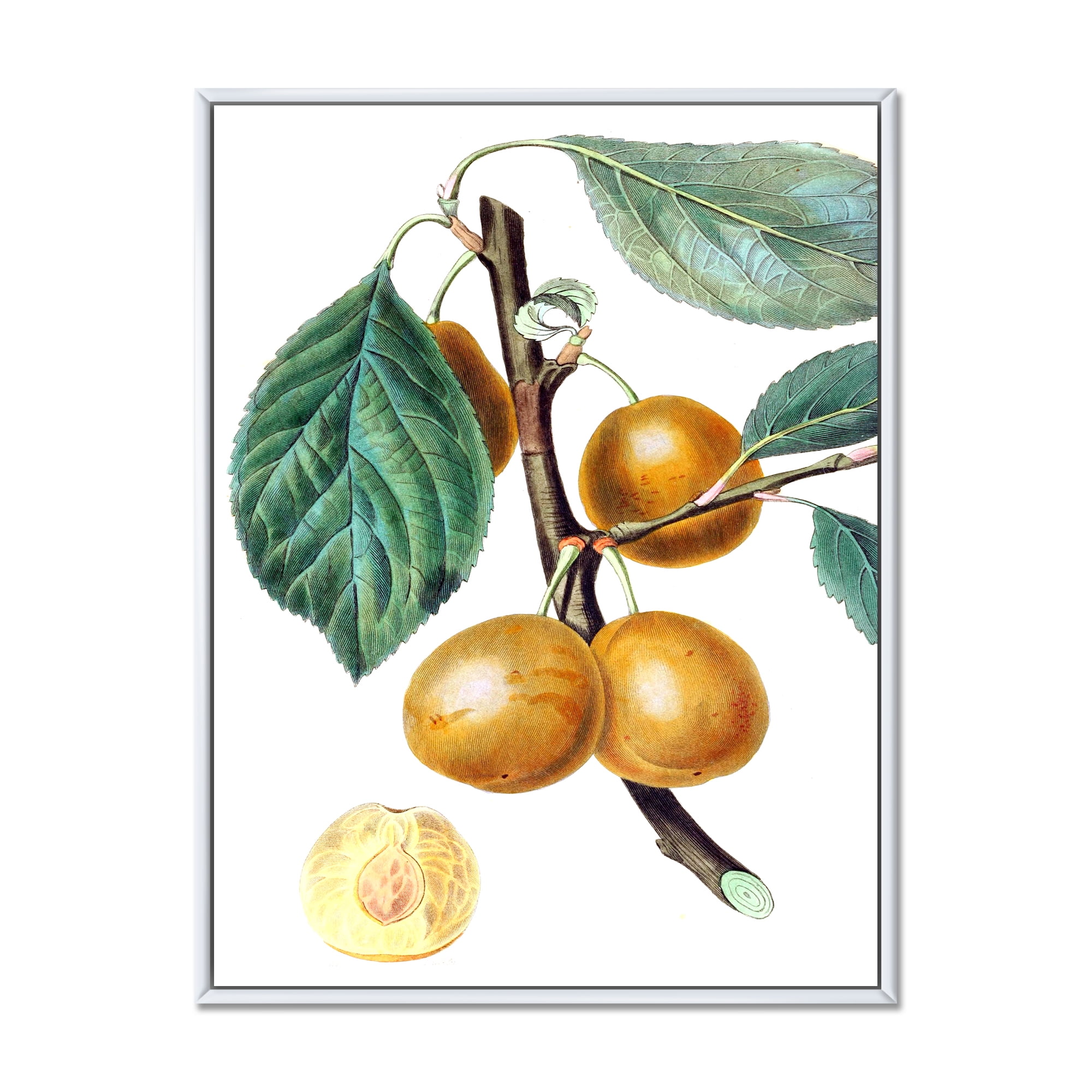 Designart 'Ancient Fruits II' Farmhouse Framed Canvas Wall Art Print
