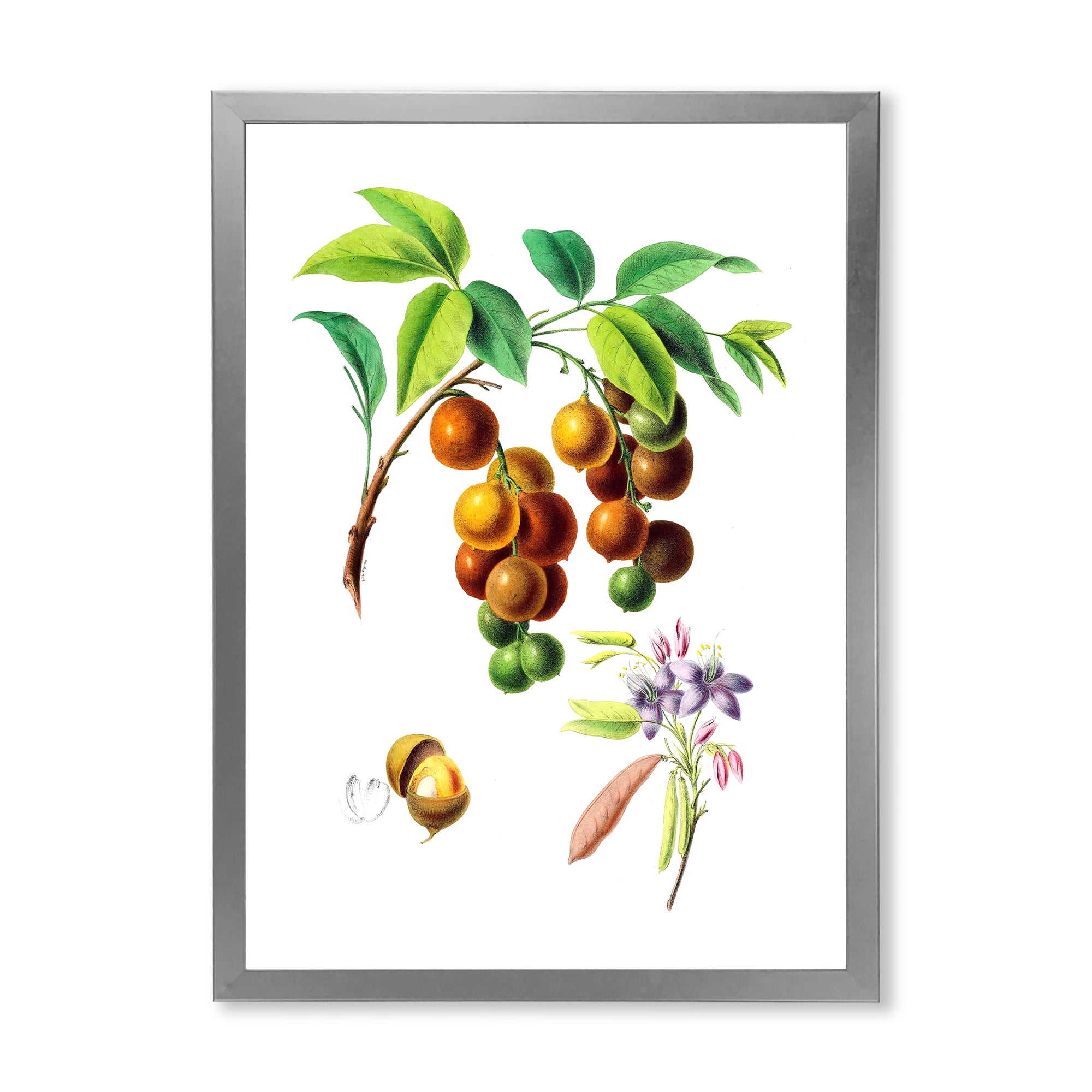 Designart 'Ancient Fruits III' Farmhouse Framed Art Print