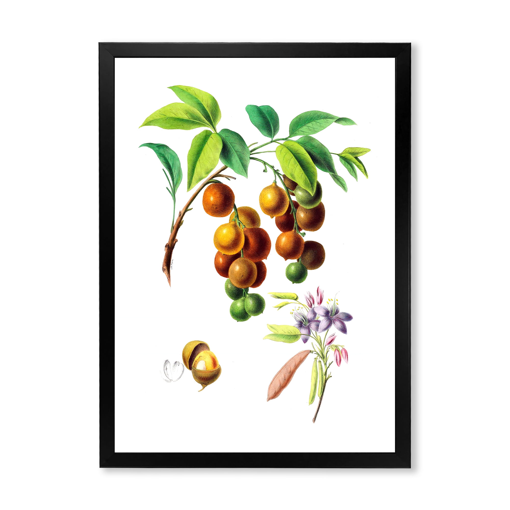 Designart 'Ancient Fruits III' Farmhouse Framed Art Print