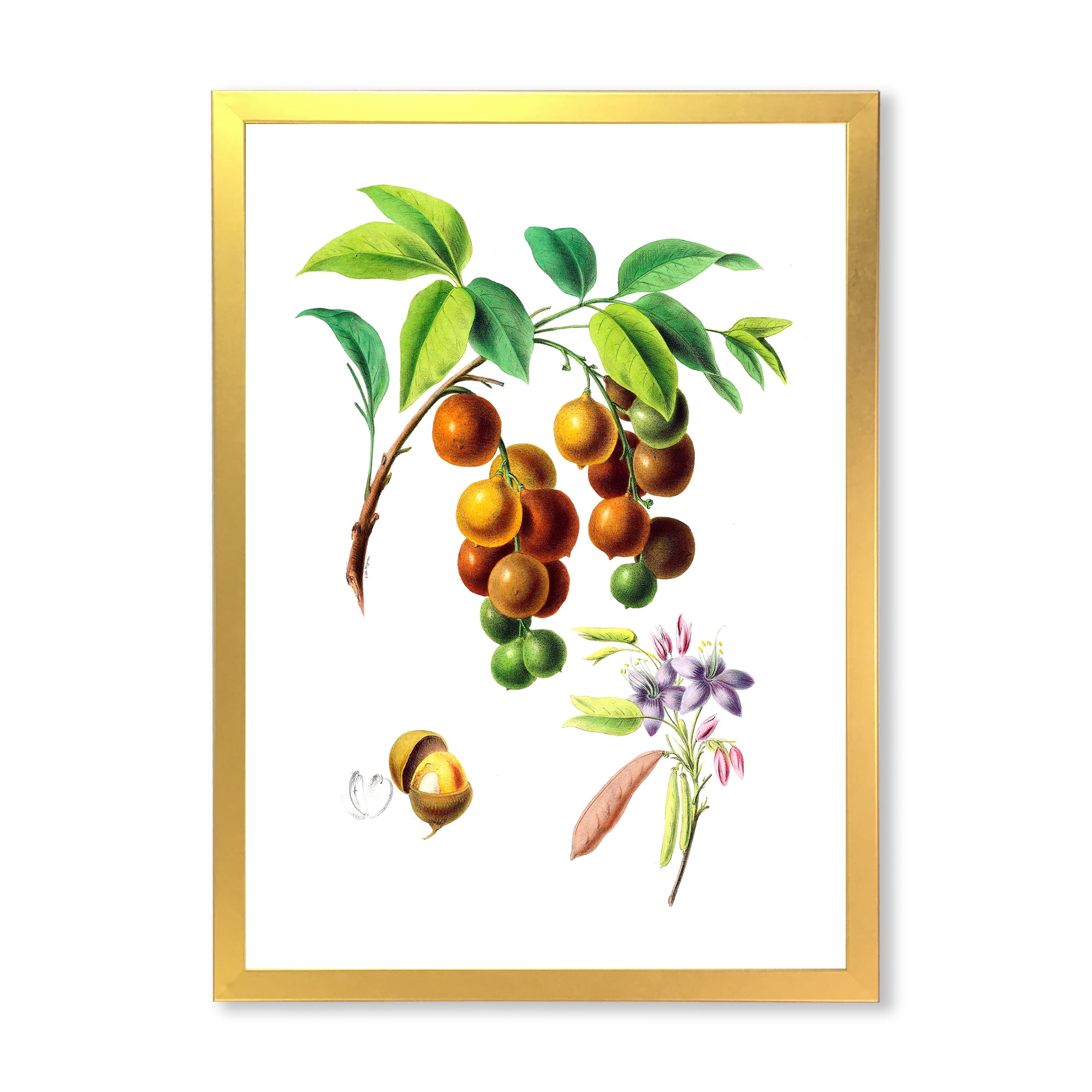 Designart 'Ancient Fruits III' Farmhouse Framed Art Print
