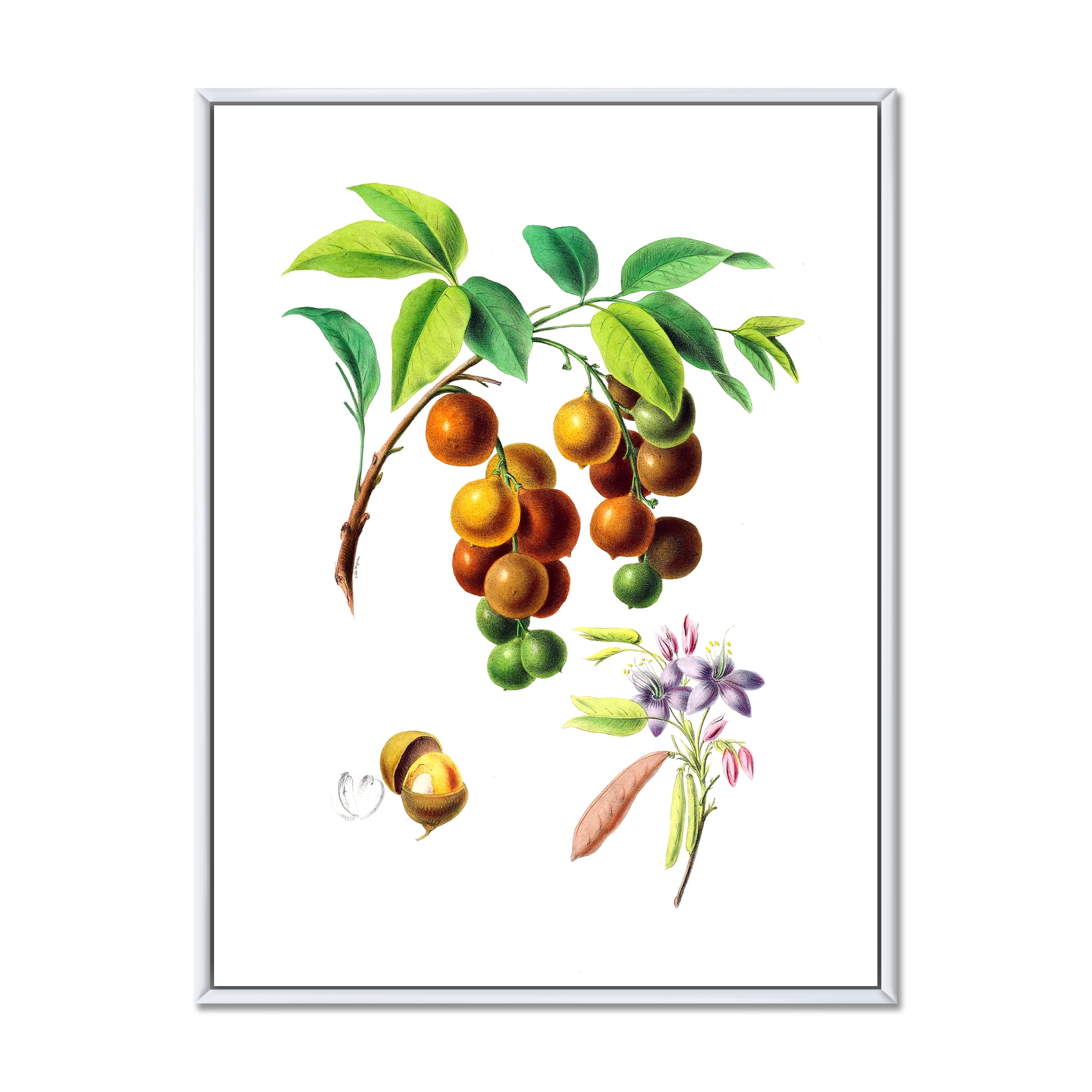 Designart 'Ancient Fruits III' Farmhouse Framed Canvas Wall Art Print