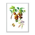 thumbnail image 1 of Designart 'Ancient Fruits III' Farmhouse Framed Canvas Wall Art Print, 1 of 5