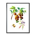 thumbnail image 1 of Designart 'Ancient Fruits III' Farmhouse Framed Canvas Wall Art Print, 1 of 5