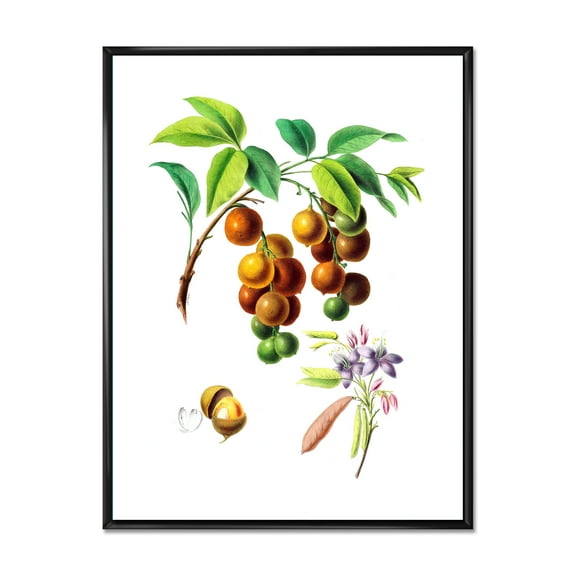 Designart 'Ancient Fruits III' Farmhouse Framed Canvas Wall Art Print