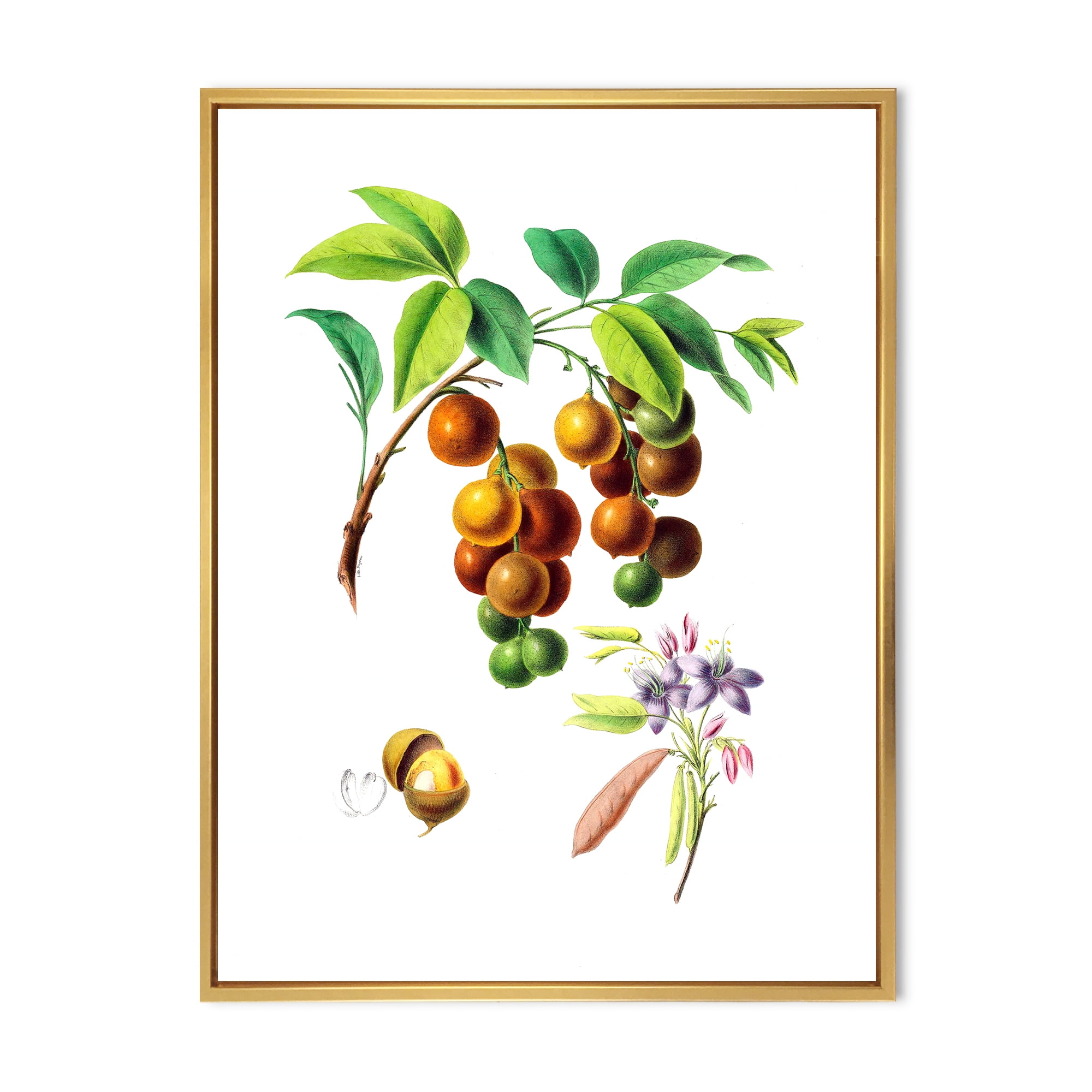 Designart 'Ancient Fruits III' Farmhouse Framed Canvas Wall Art Print