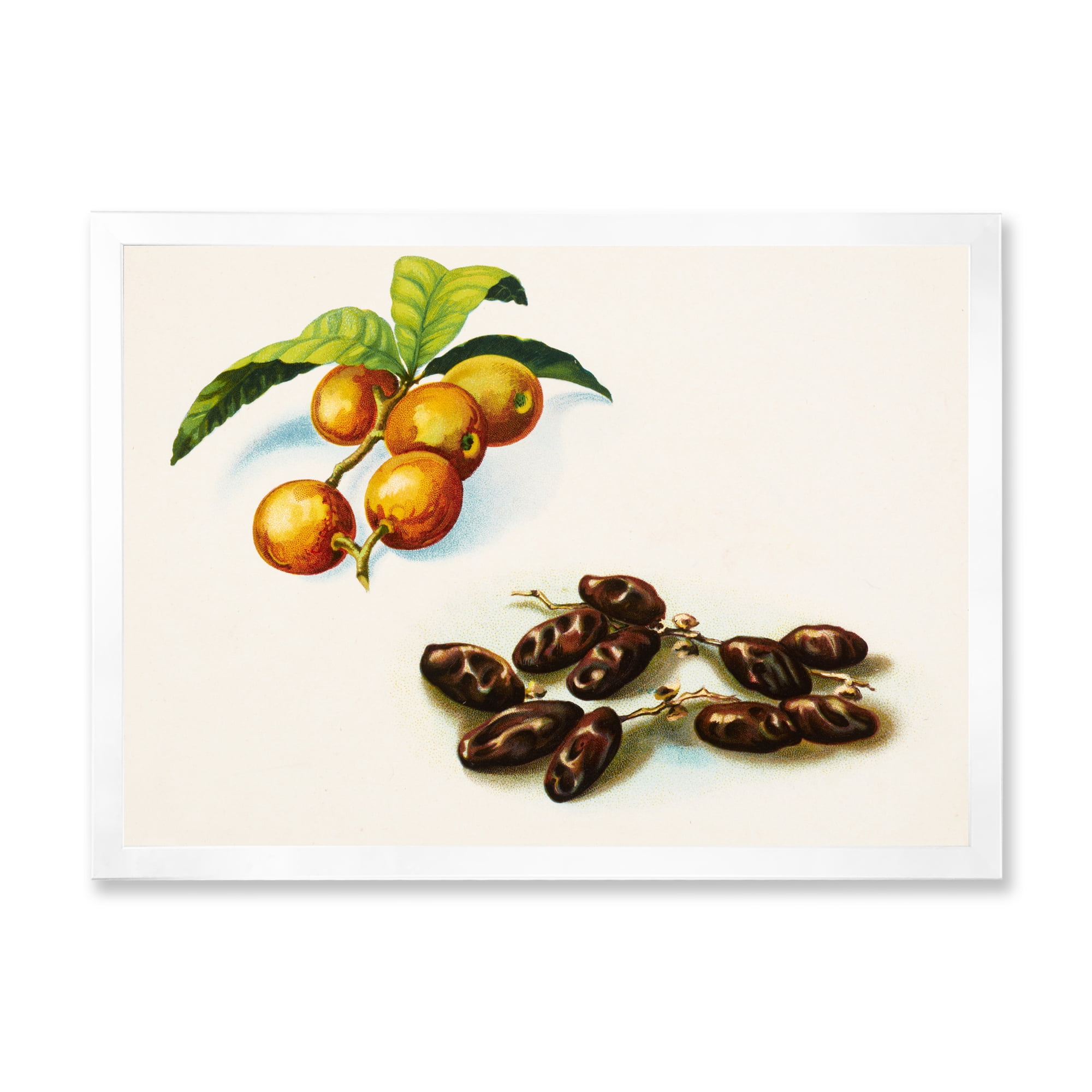Designart 'Ancient Fruits IV' Farmhouse Framed Art Print