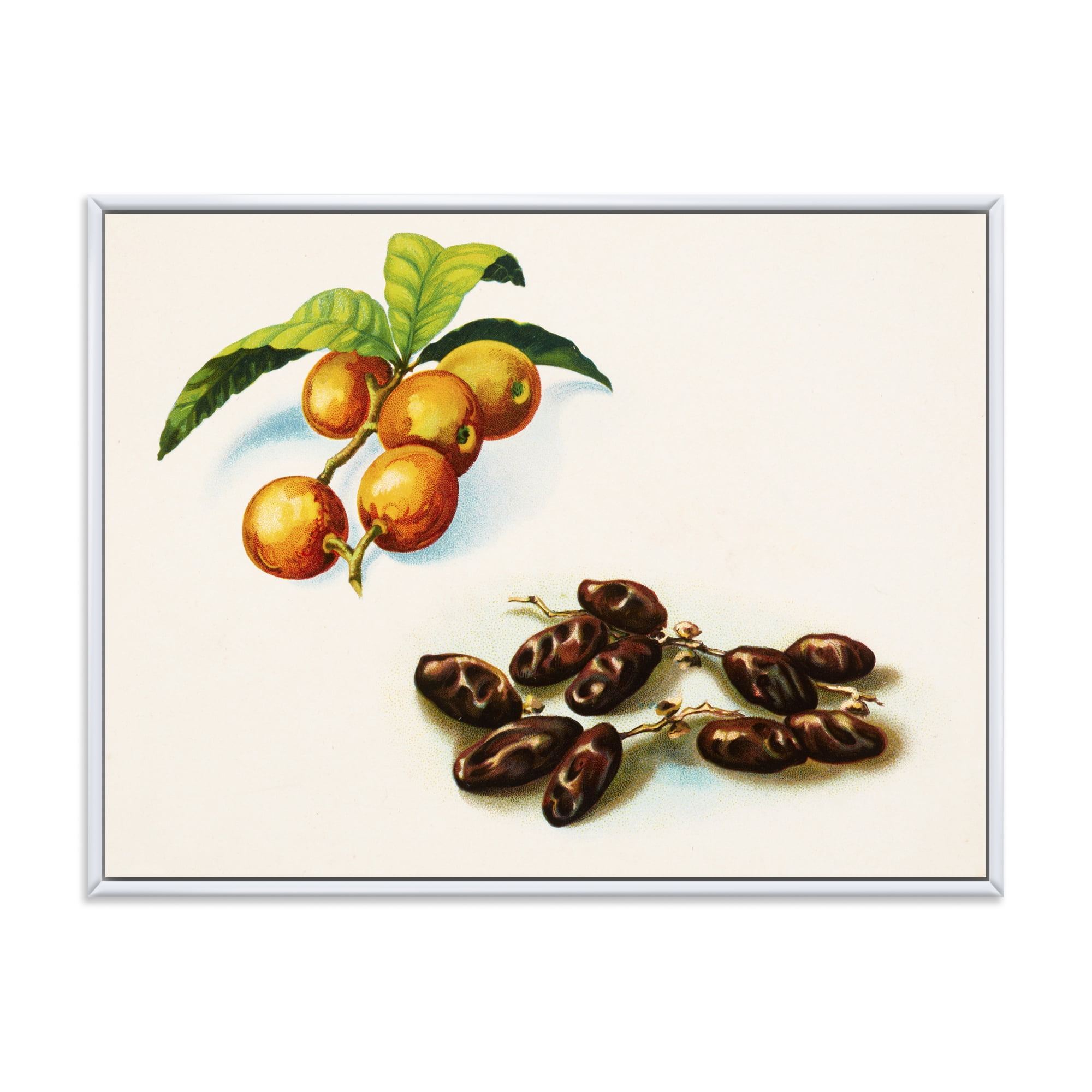 Designart 'Ancient Fruits IV' Farmhouse Framed Canvas Wall Art Print