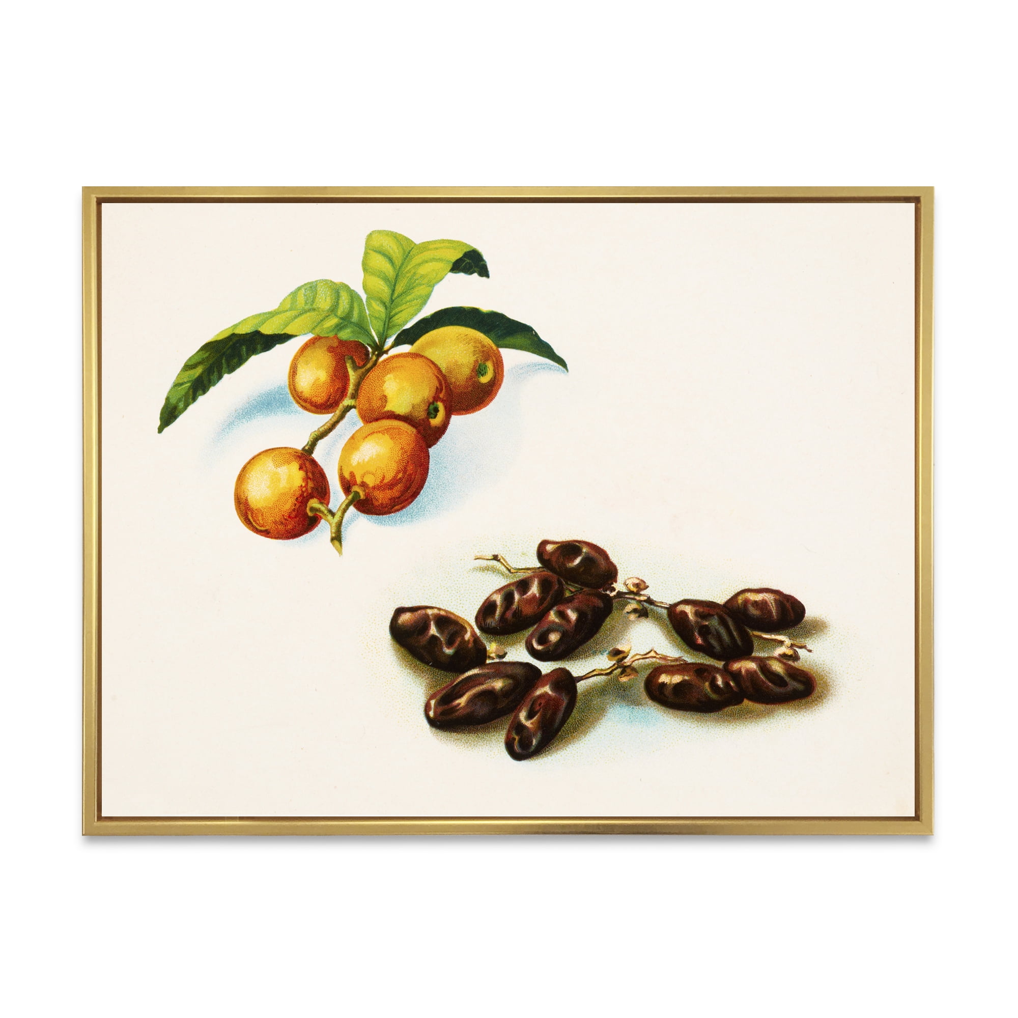 Designart 'Ancient Fruits IV' Farmhouse Framed Canvas Wall Art Print