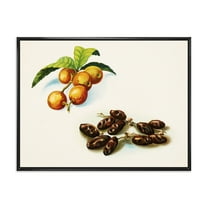Designart 'Ancient Fruits IV' Farmhouse Framed Canvas Wall Art Print