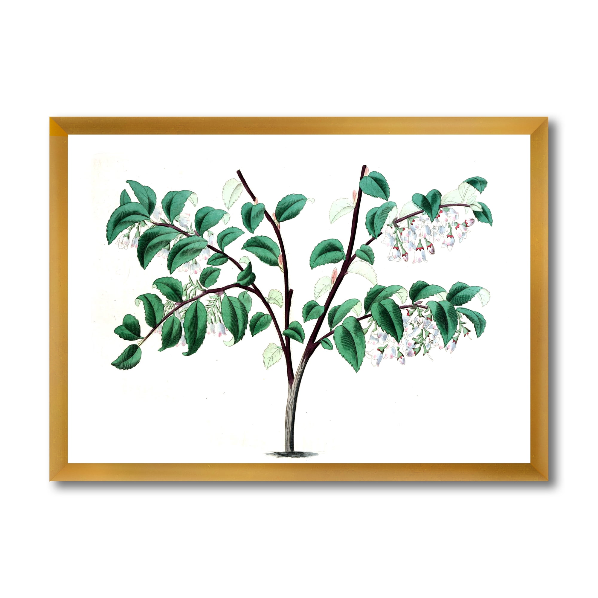 Designart 'Ancient Green Leaves Plants I' Traditional Framed Art Print