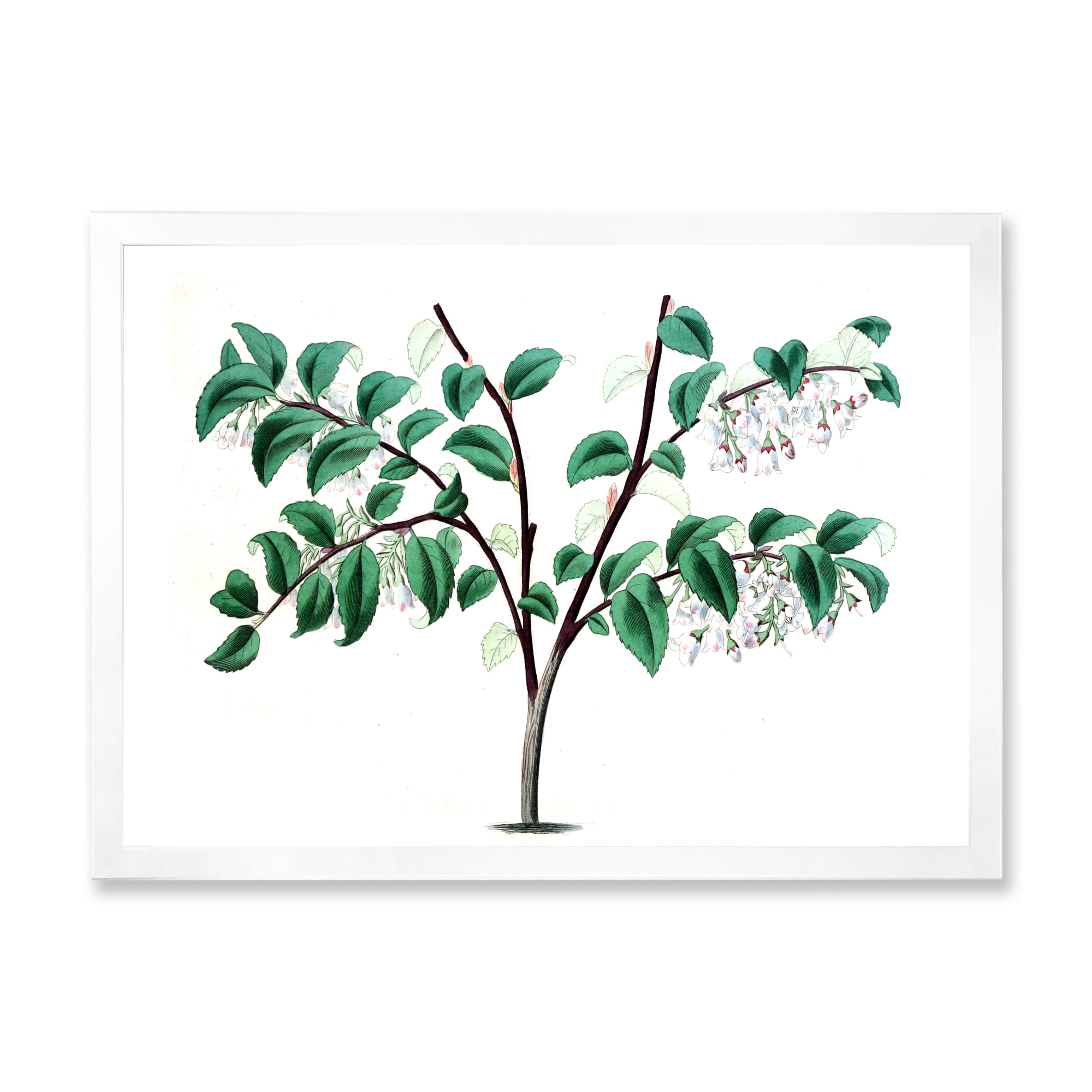 Designart 'Ancient Green Leaves Plants I' Traditional Framed Art Print