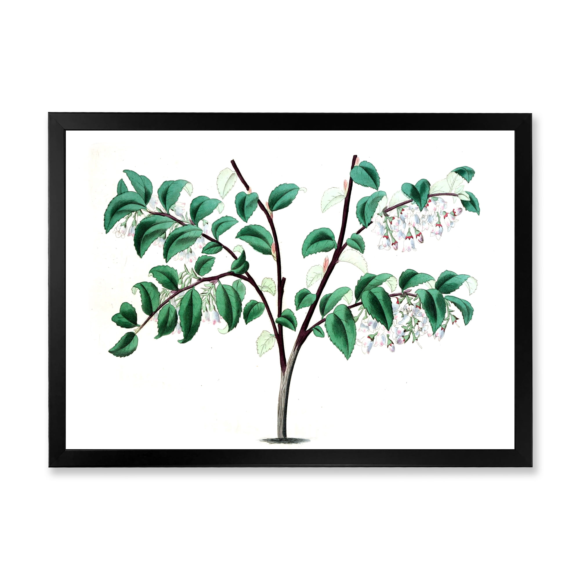 Designart 'Ancient Green Leaves Plants I' Traditional Framed Art Print