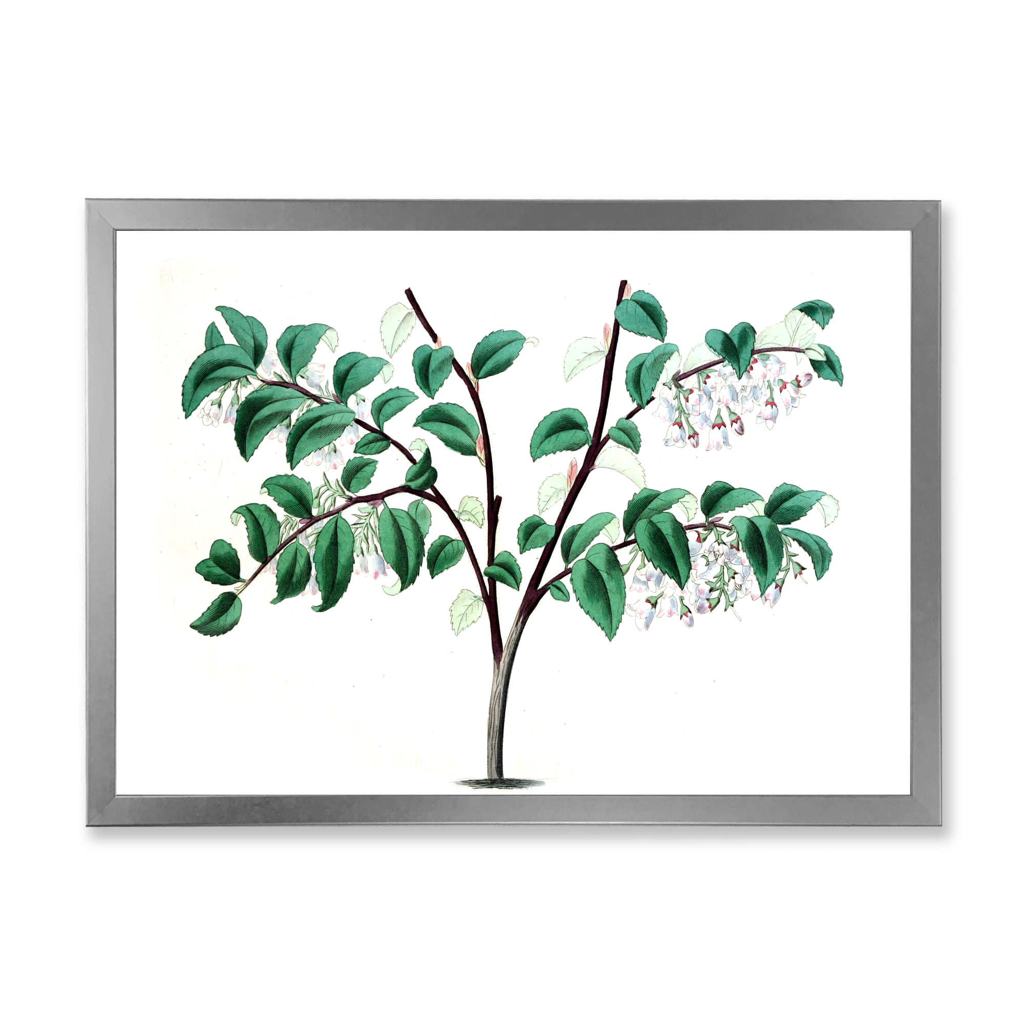 Designart 'Ancient Green Leaves Plants I' Traditional Framed Art Print