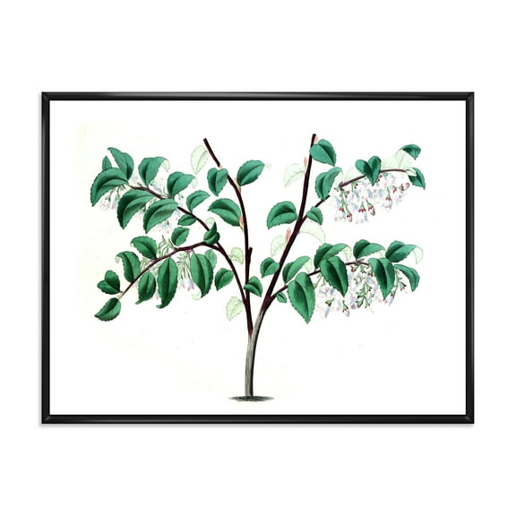 Designart 'Ancient Green Leaves Plants I' Traditional Framed Canvas Wall Art Print