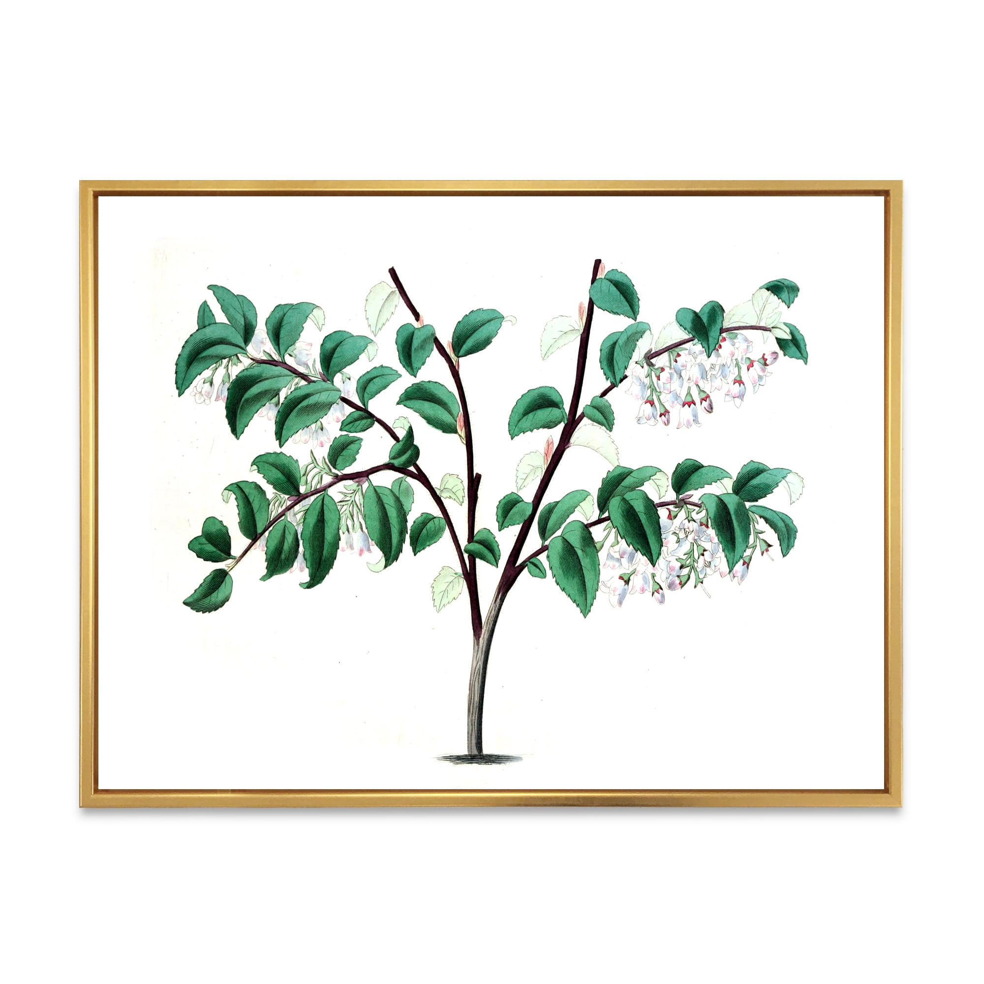 Designart 'Ancient Green Leaves Plants I' Traditional Framed Canvas Wall Art Print