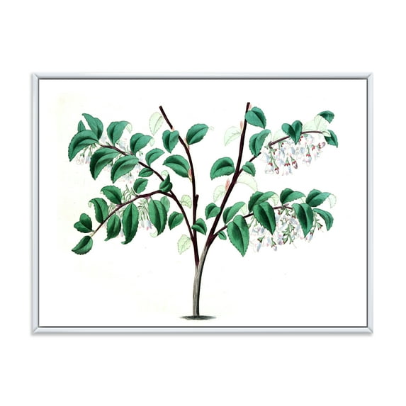 Designart 'Ancient Green Leaves Plants I' Traditional Framed Canvas Wall Art Print