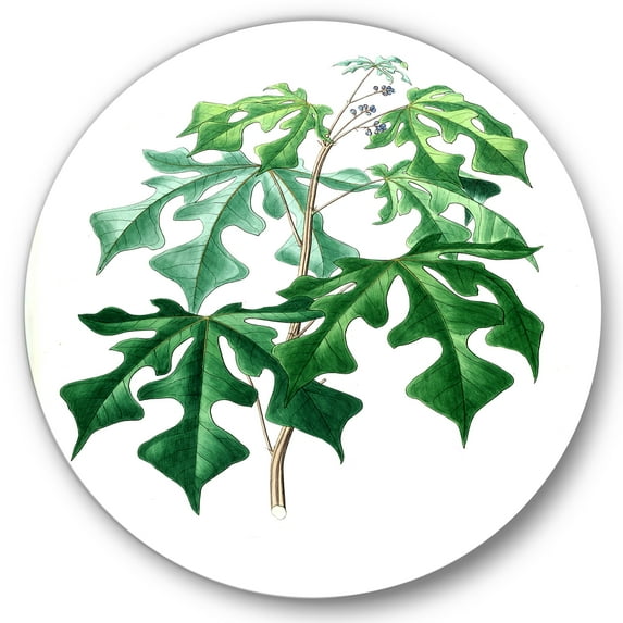 Designart 'Ancient Green Leaves Plants II' Traditional Circle Metal Wall Art 11x11 - Disc of 11