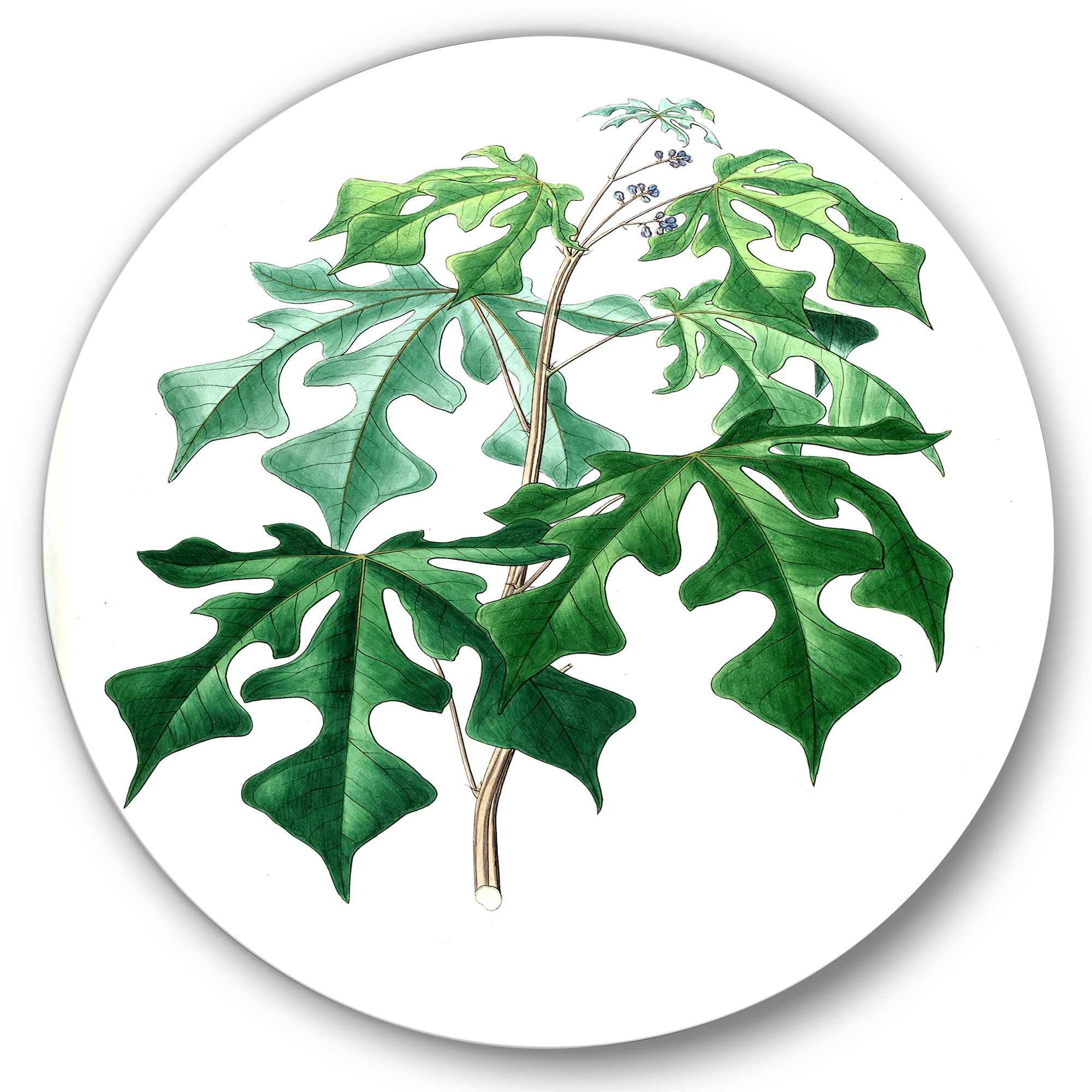 Designart 'Ancient Green Leaves Plants II' Traditional Circle Metal Wall Art 29x29 - Disc of 29