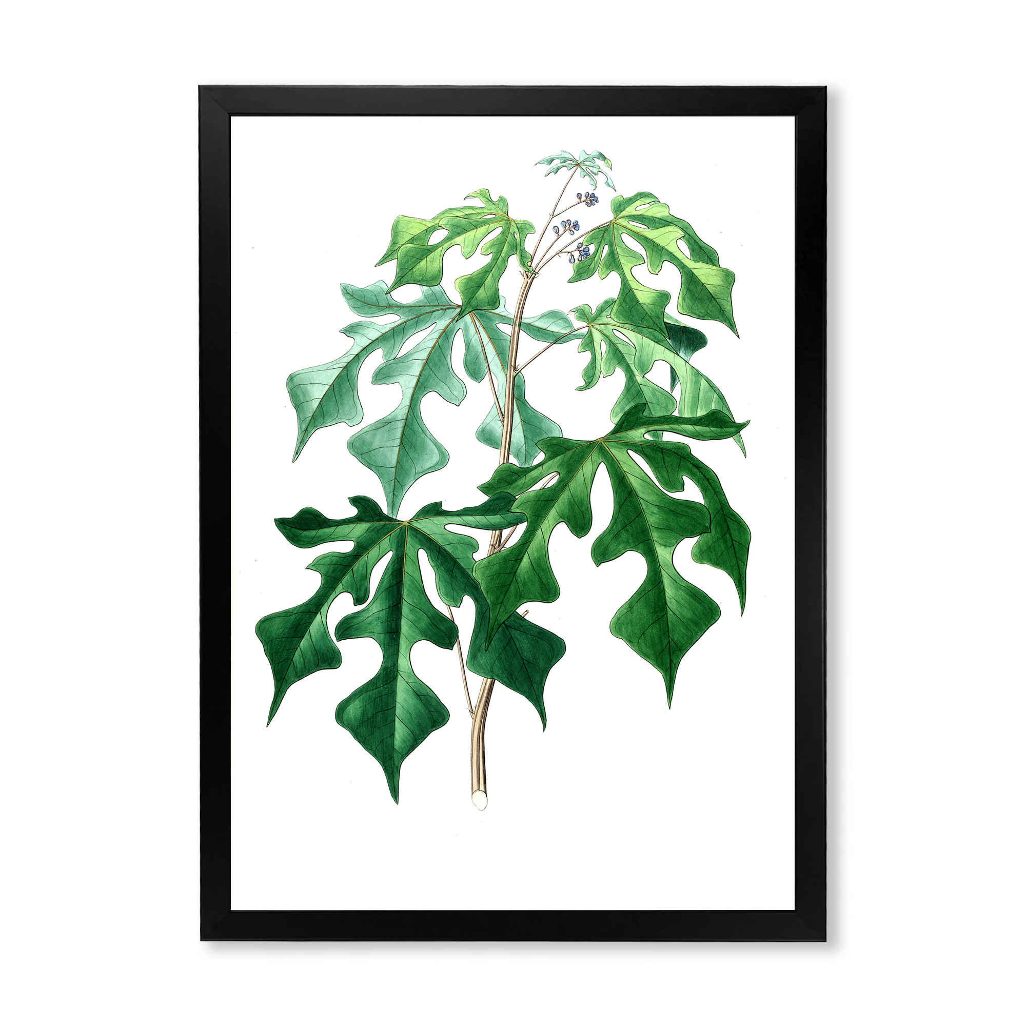 Designart 'Ancient Green Leaves Plants II' Traditional Framed Art Print