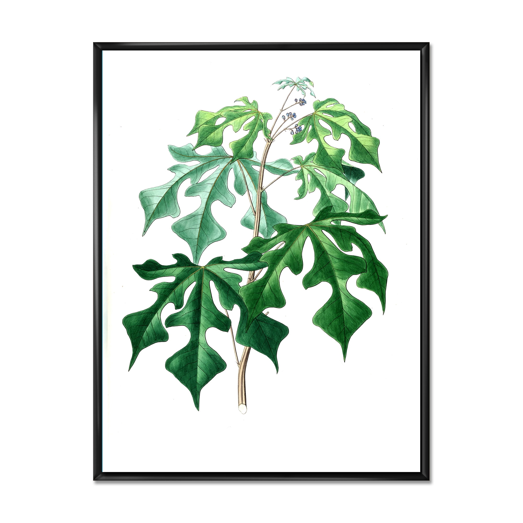 Designart 'Ancient Green Leaves Plants II' Traditional Framed Canvas Wall Art Print