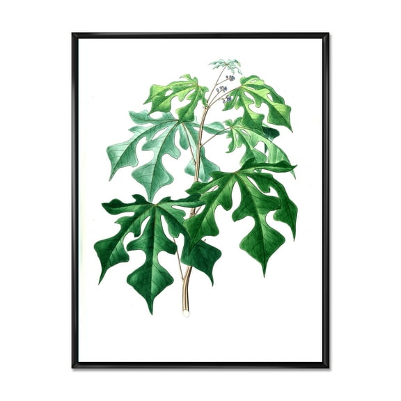 Designart 'Ancient Green Leaves Plants II' Traditional Framed Canvas Wall Art Print