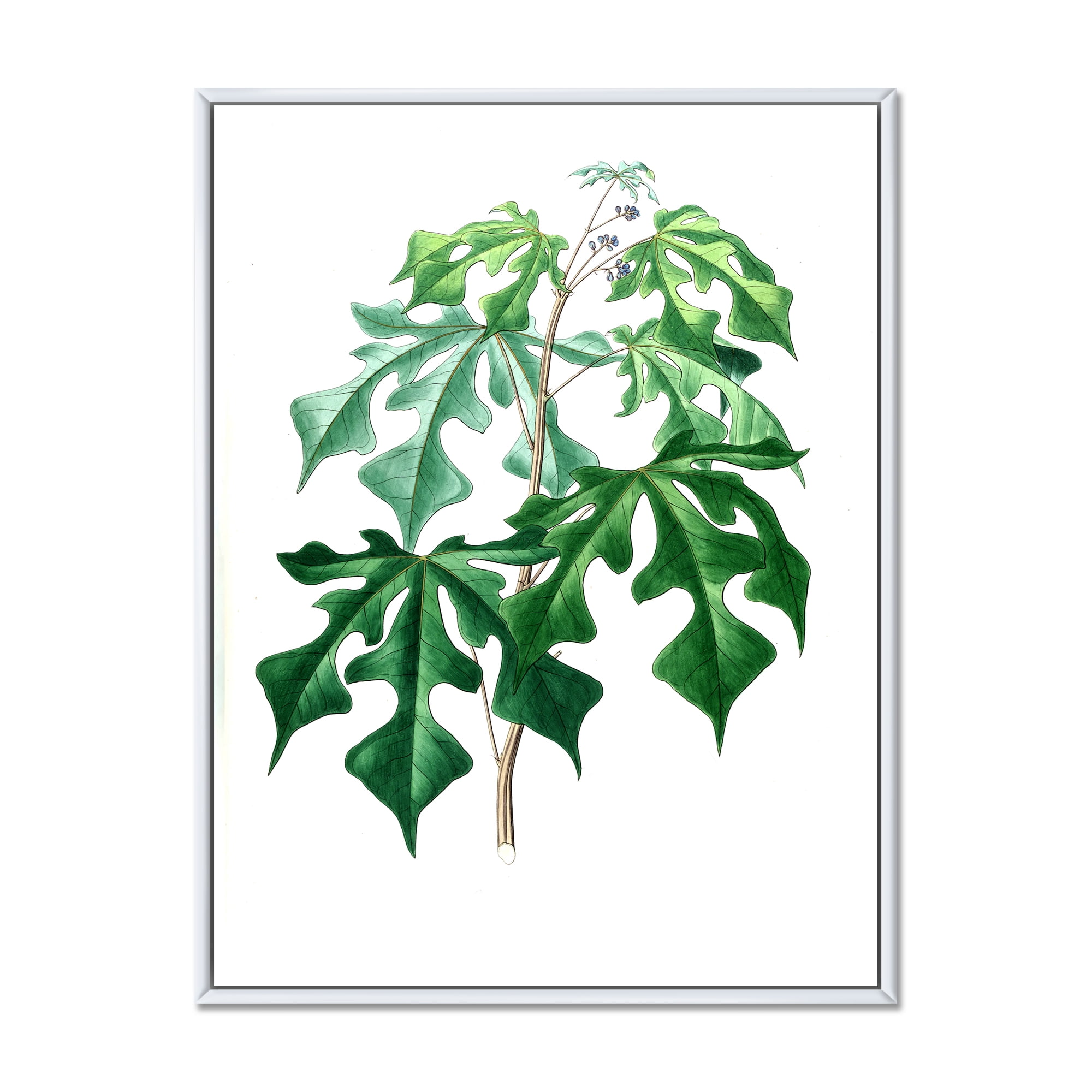 Designart 'Ancient Green Leaves Plants II' Traditional Framed Canvas Wall Art Print