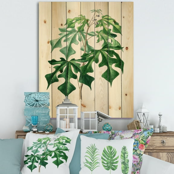 Designart 'Ancient Green Leaves Plants II' Traditional Print on Natural Pine Wood