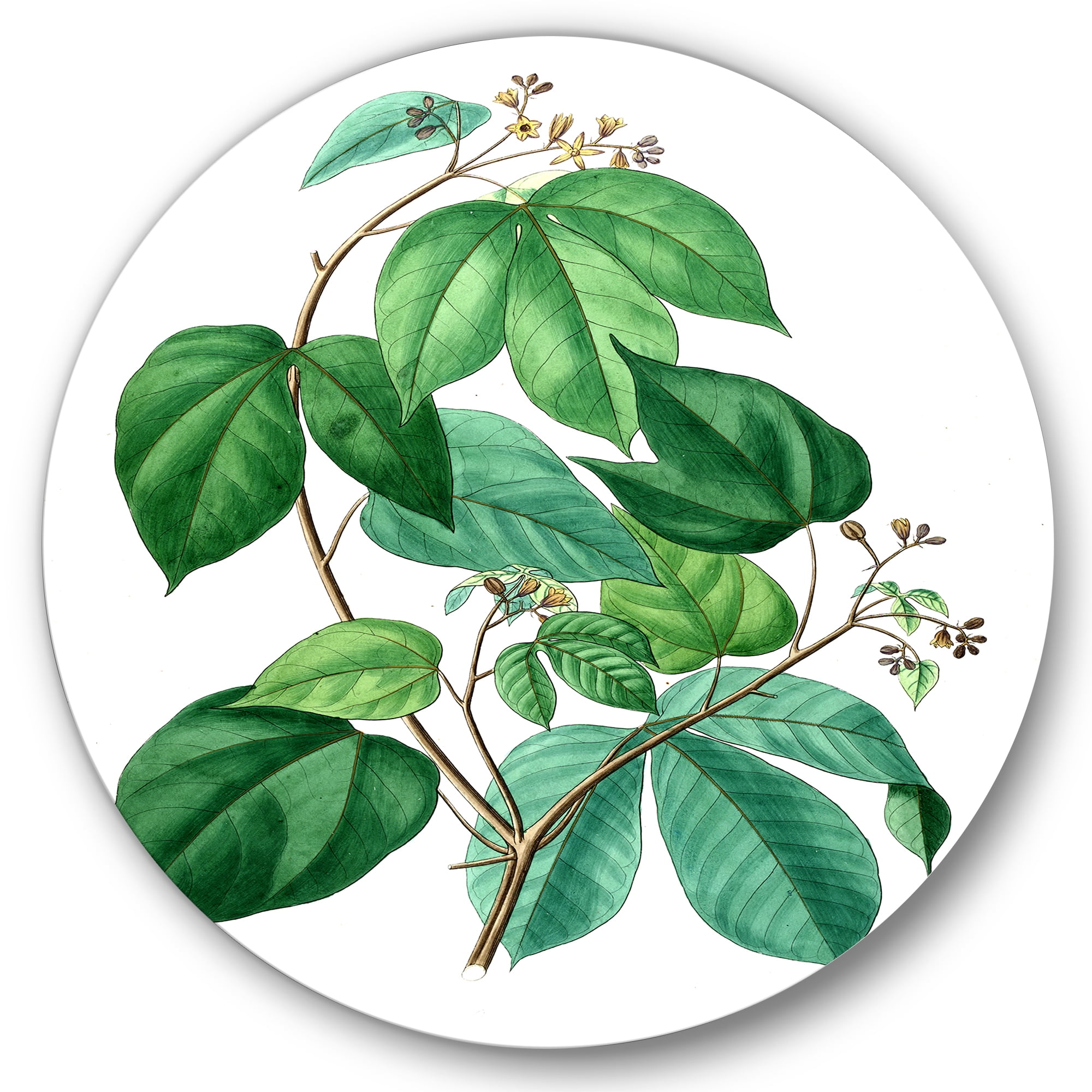 Designart 'Ancient Green Leaves Plants III' Traditional Circle Metal Wall Art 29x29 - Disc of 29