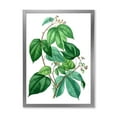 thumbnail image 1 of Designart 'Ancient Green Leaves Plants III' Traditional Framed Art Print, 1 of 4