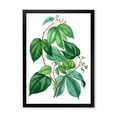 thumbnail image 1 of Designart 'Ancient Green Leaves Plants III' Traditional Framed Art Print, 1 of 4