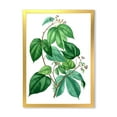 thumbnail image 1 of Designart 'Ancient Green Leaves Plants III' Traditional Framed Art Print, 1 of 4