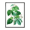 thumbnail image 1 of Designart 'Ancient Green Leaves Plants III' Traditional Framed Canvas Wall Art Print, 1 of 5