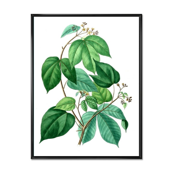 Designart 'Ancient Green Leaves Plants III' Traditional Framed Canvas Wall Art Print