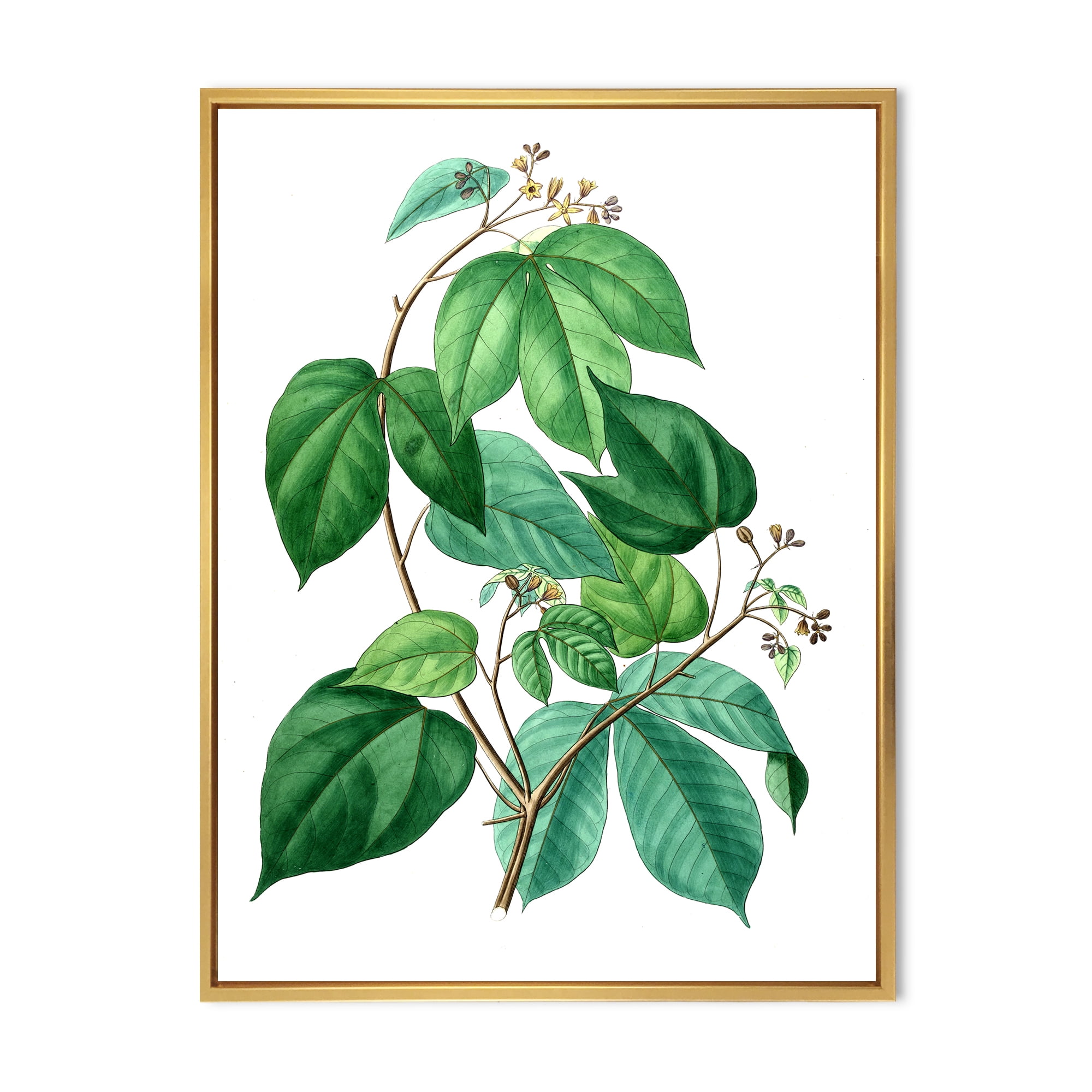 Designart 'Ancient Green Leaves Plants III' Traditional Framed Canvas Wall Art Print