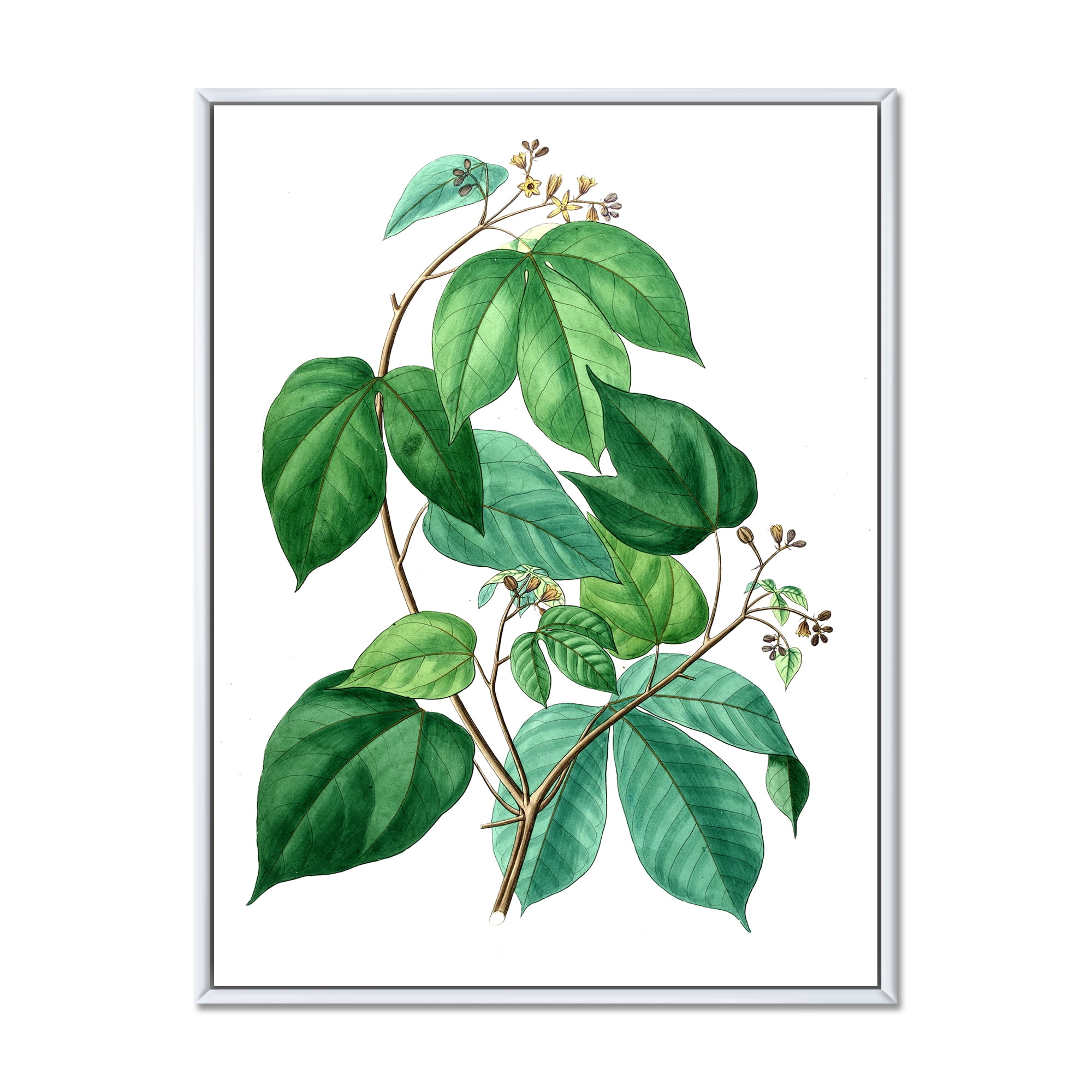 Designart 'Ancient Green Leaves Plants III' Traditional Framed Canvas Wall Art Print