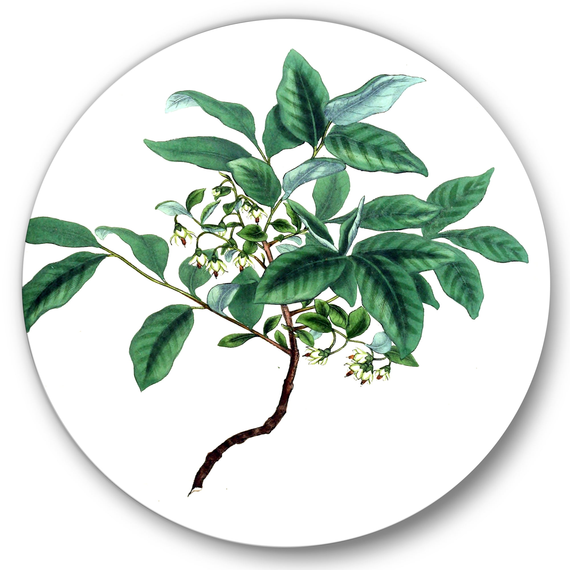 Designart 'Ancient Green Leaves Plants IV' Traditional Circle Metal Wall Art 36x36 - Disc of 36