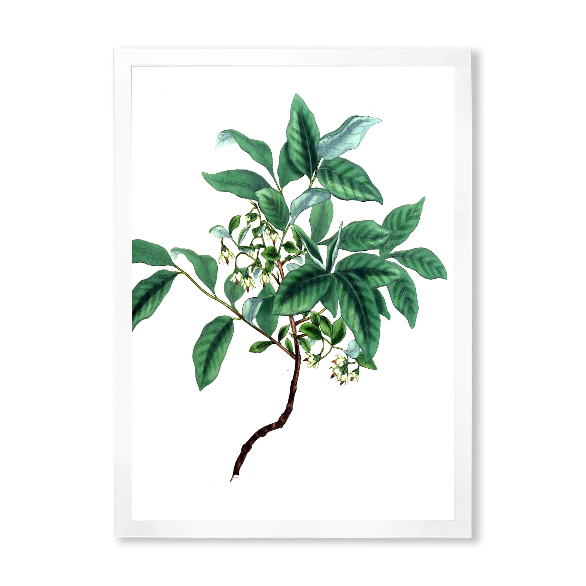 Designart 'Ancient Green Leaves Plants IV' Traditional Framed Art Print