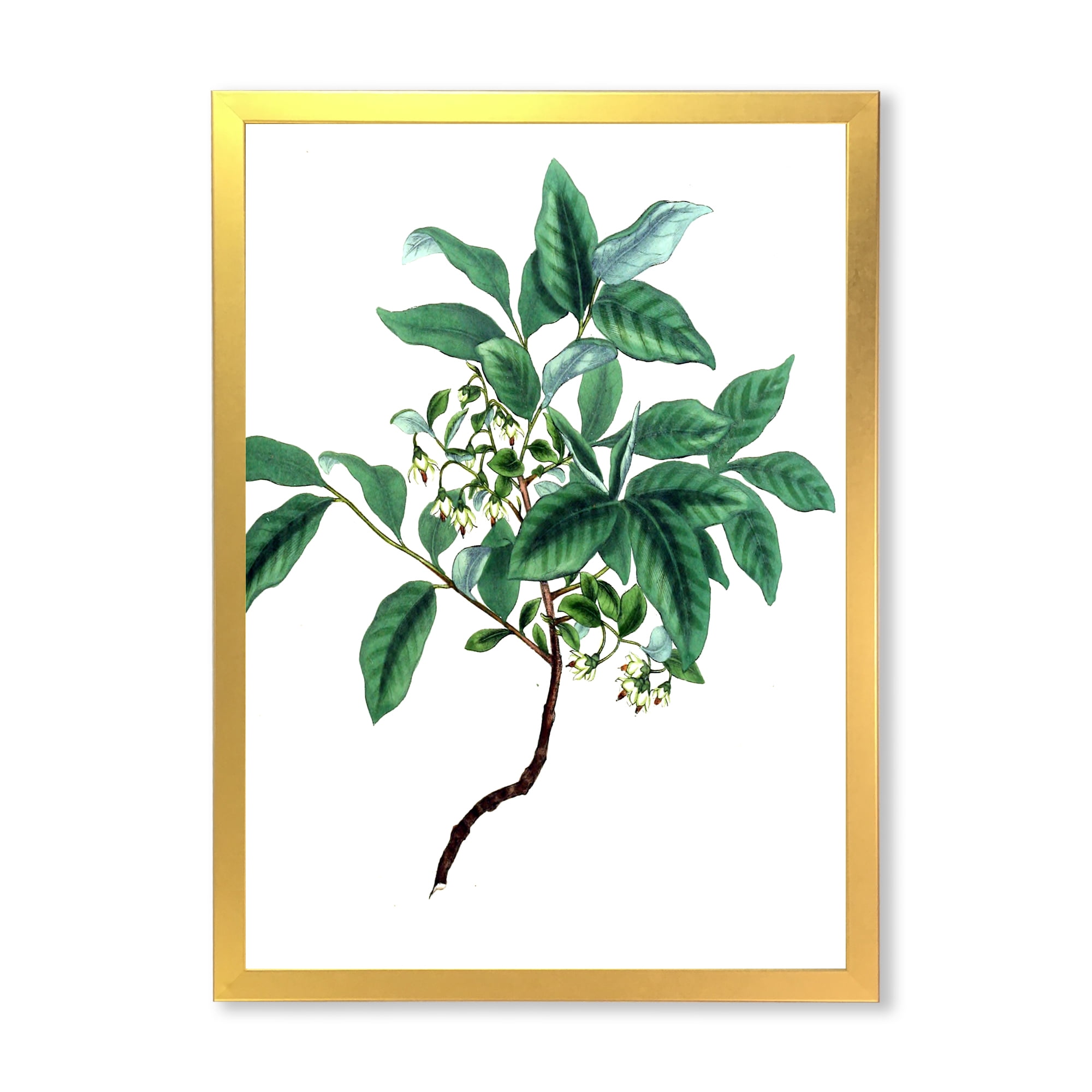 Designart 'Ancient Green Leaves Plants IV' Traditional Framed Art Print