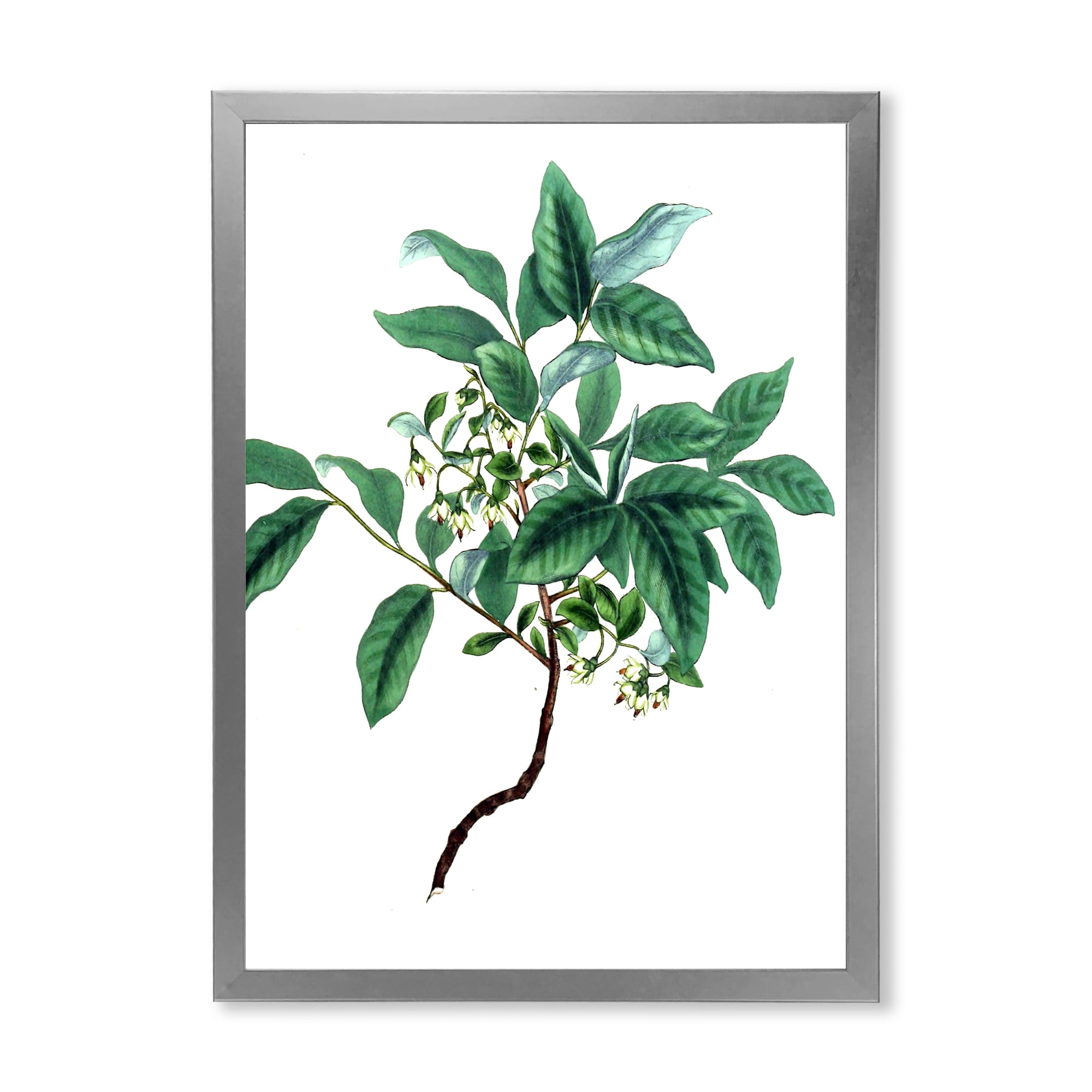 Designart 'Ancient Green Leaves Plants IV' Traditional Framed Art Print