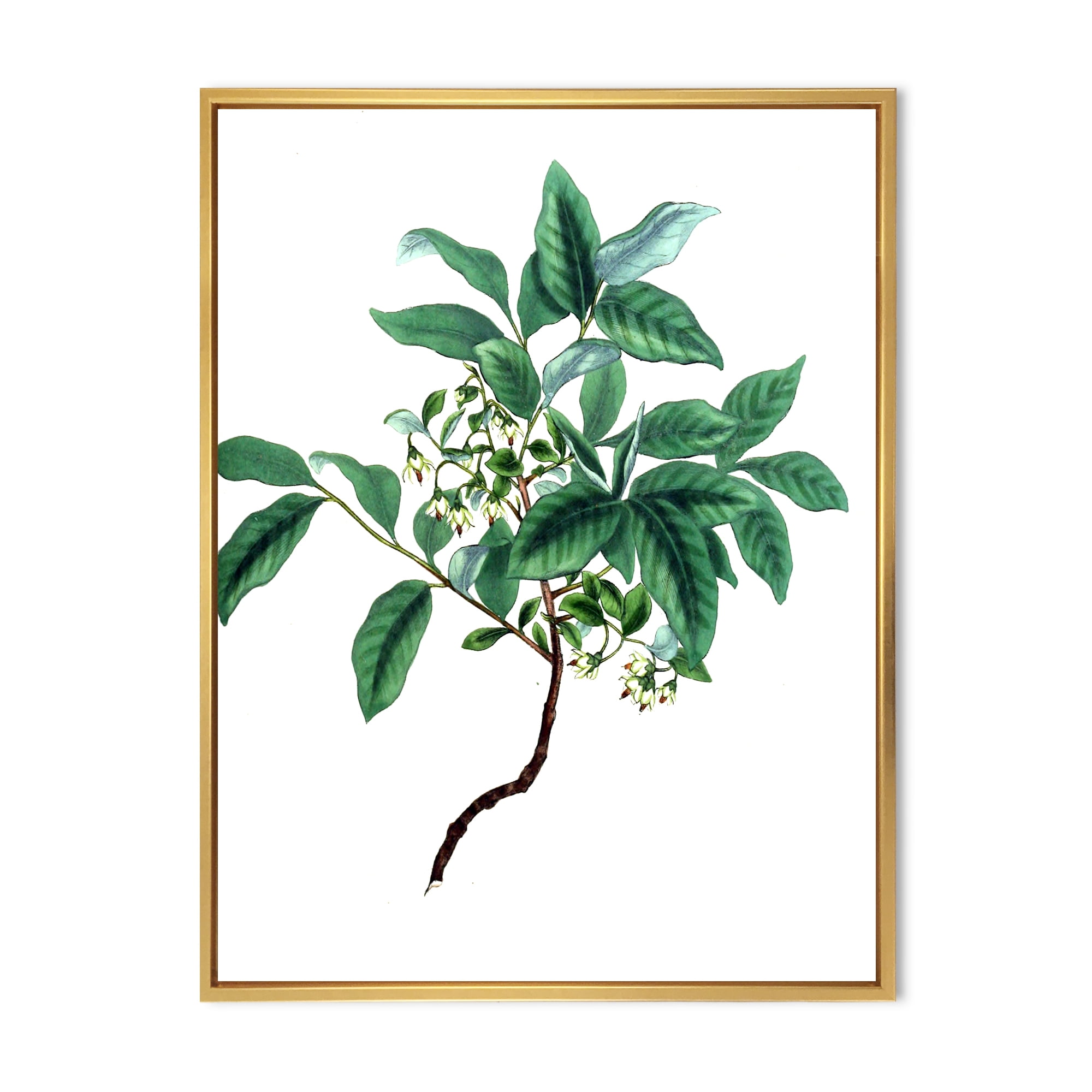 Designart 'Ancient Green Leaves Plants IV' Traditional Framed Canvas Wall Art Print