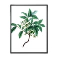 thumbnail image 1 of Designart 'Ancient Green Leaves Plants IV' Traditional Framed Canvas Wall Art Print, 1 of 5