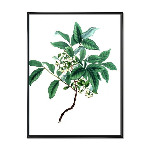 Designart 'Ancient Green Leaves Plants IV' Traditional Framed Canvas Wall Art Print