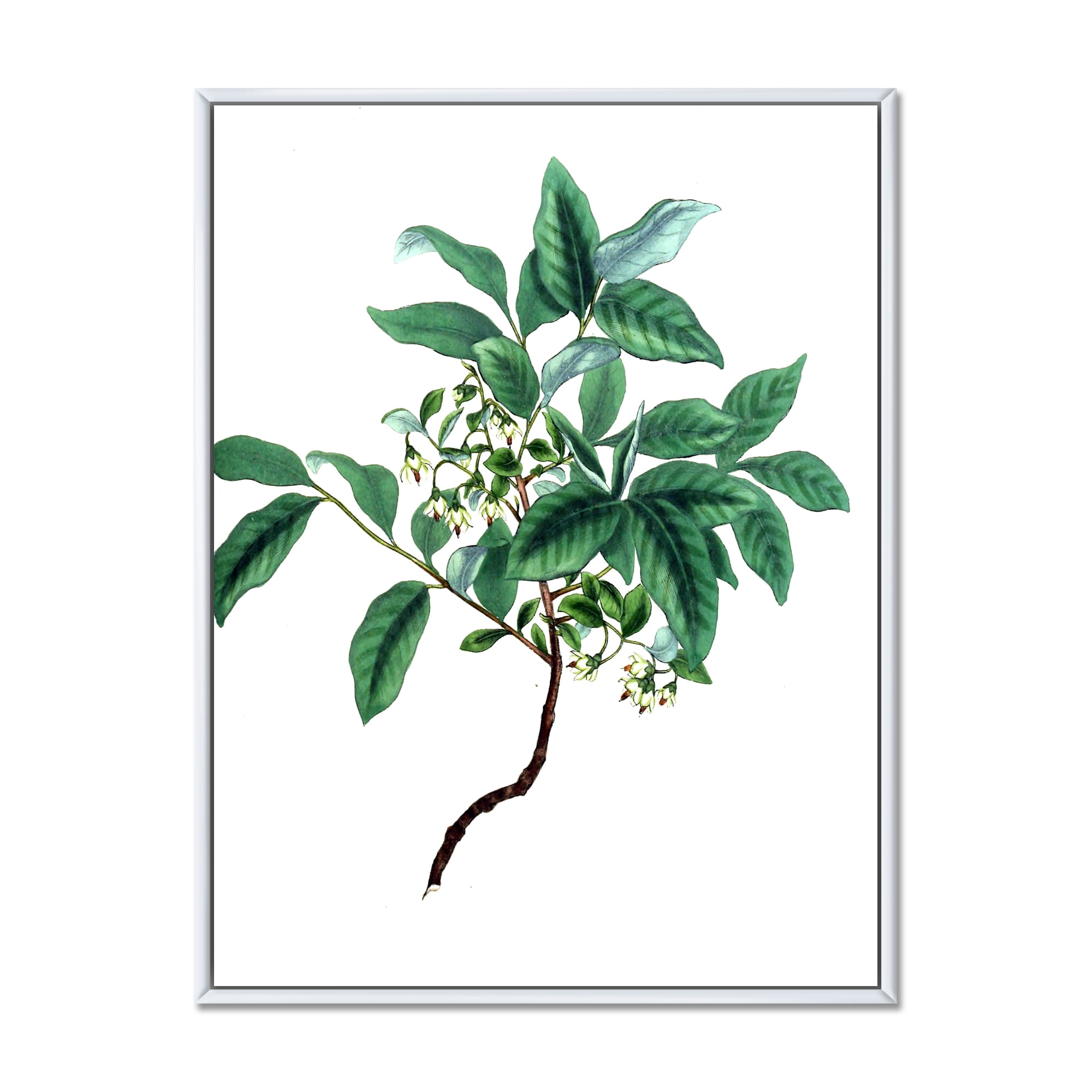 Designart 'Ancient Green Leaves Plants IV' Traditional Framed Canvas Wall Art Print
