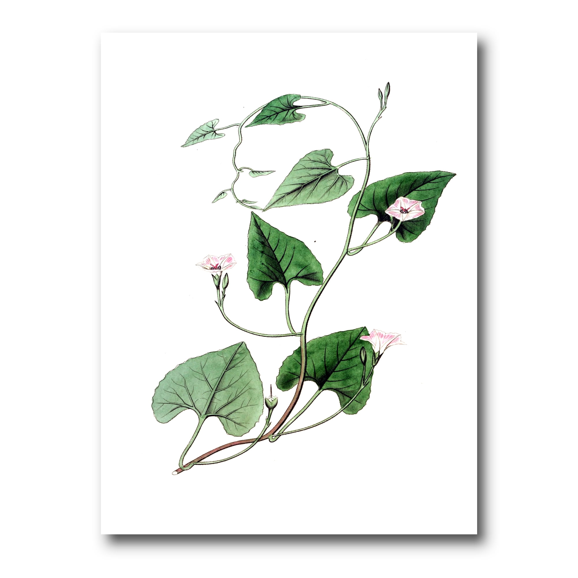 Designart ' Ancient Green Leaves Plants IX ' Traditional Canvas Wall Art Print